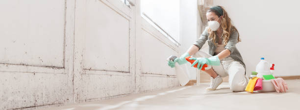 Mold Remediation for Vacation Homes in Riverdale, CA